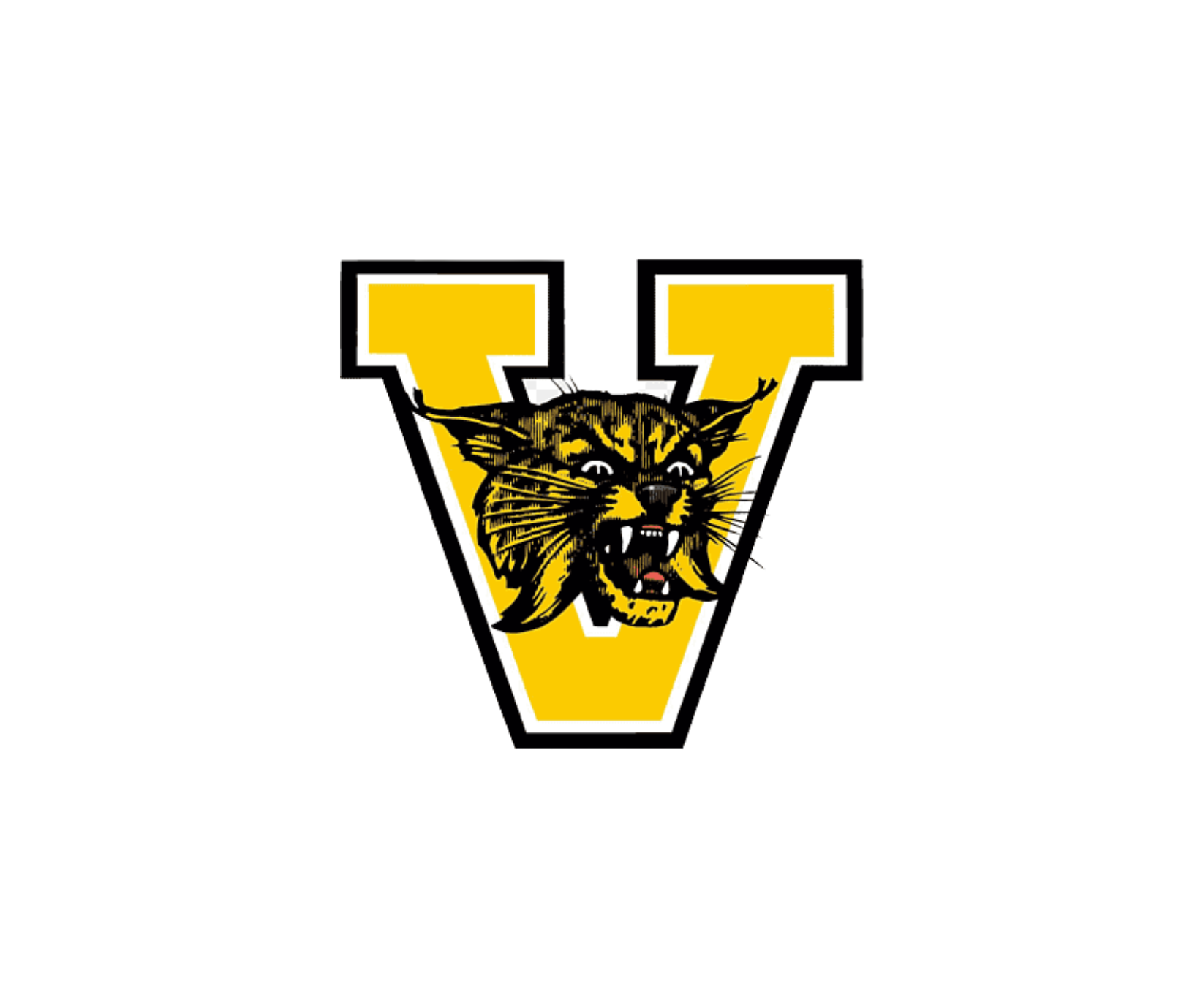 Sports Turf to Construct Baseball and Softball Fields at Valdosta High